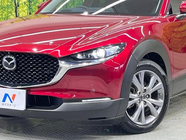 CX-30