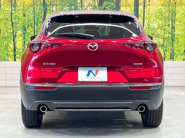 CX-30