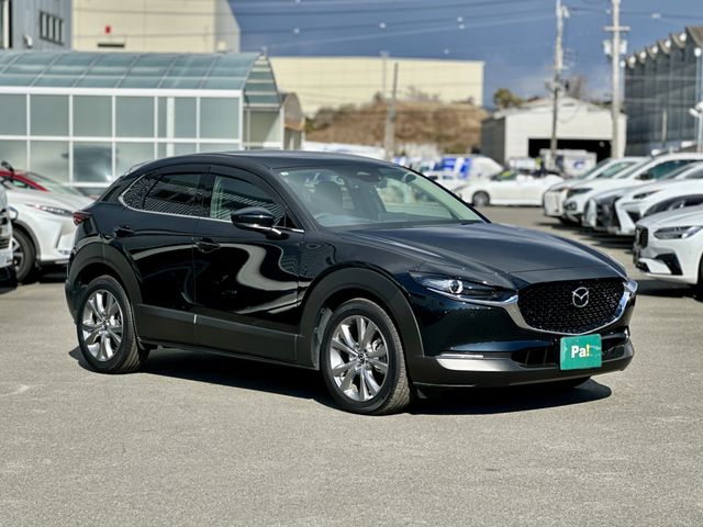 CX-30