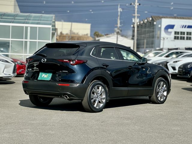 CX-30