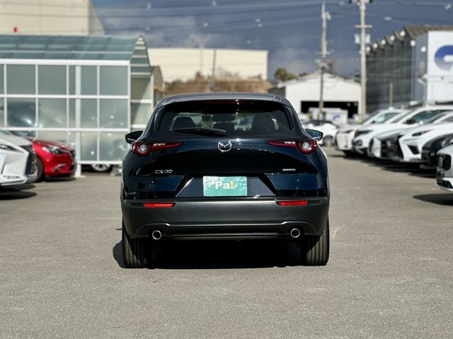 CX-30