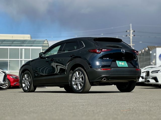 CX-30