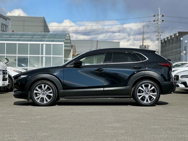 CX-30