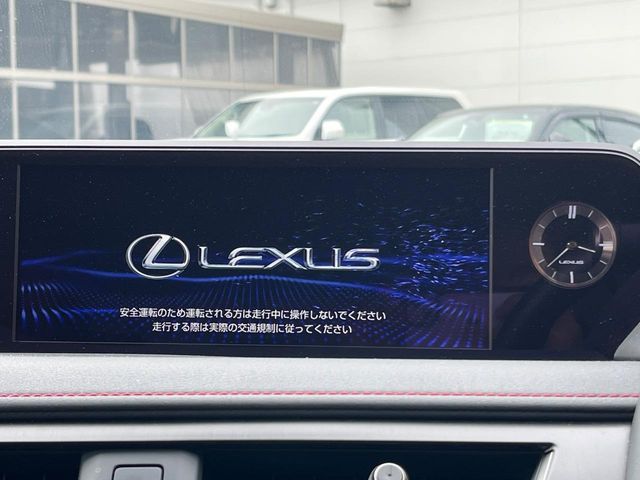 LEXUS UX250h