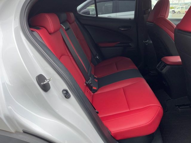 LEXUS UX250h
