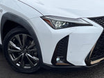 LEXUS UX250h
