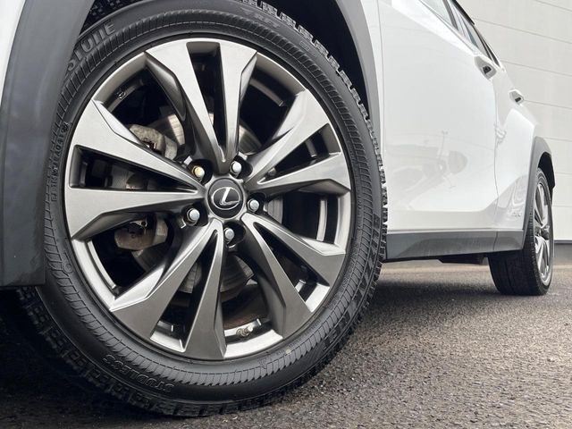 LEXUS UX250h