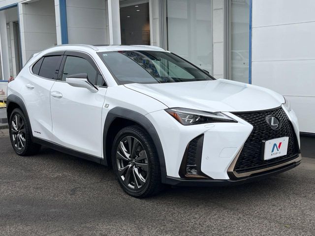 LEXUS UX250h
