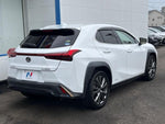 LEXUS UX250h