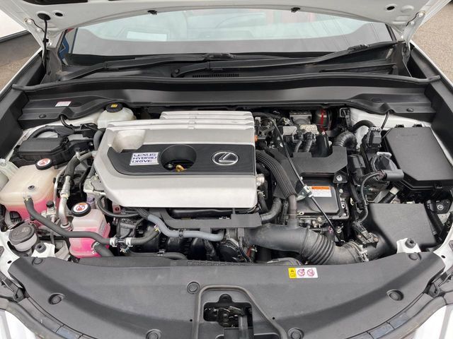 LEXUS UX250h