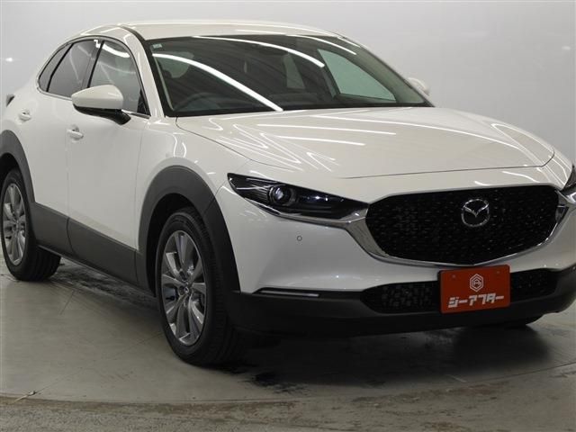 CX-30