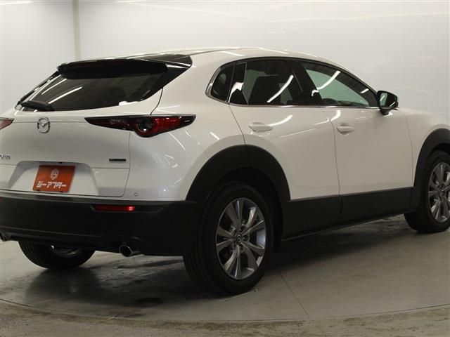 CX-30