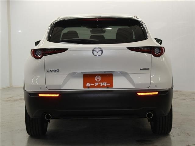 CX-30