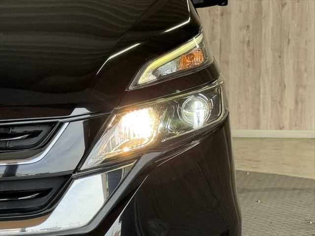 SERENA  S-HYBRID
