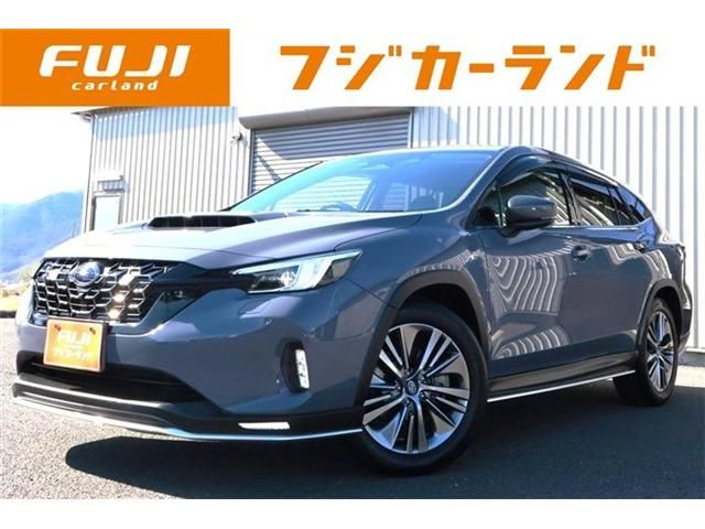 LEVORG LAYBACK