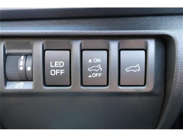LEVORG LAYBACK