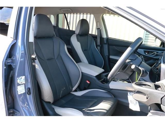 LEVORG LAYBACK
