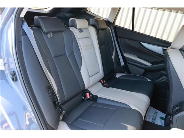 LEVORG LAYBACK