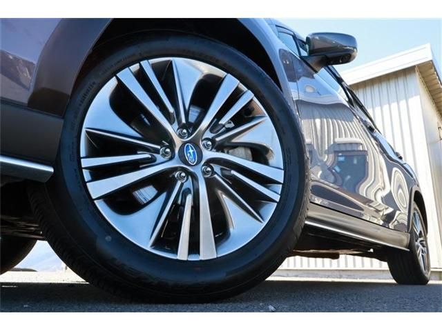 LEVORG LAYBACK