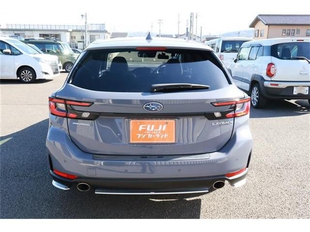 LEVORG LAYBACK
