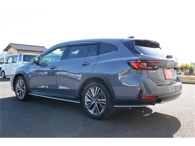 LEVORG LAYBACK