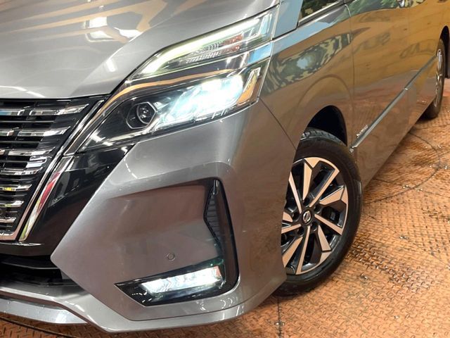 SERENA  S-HYBRID