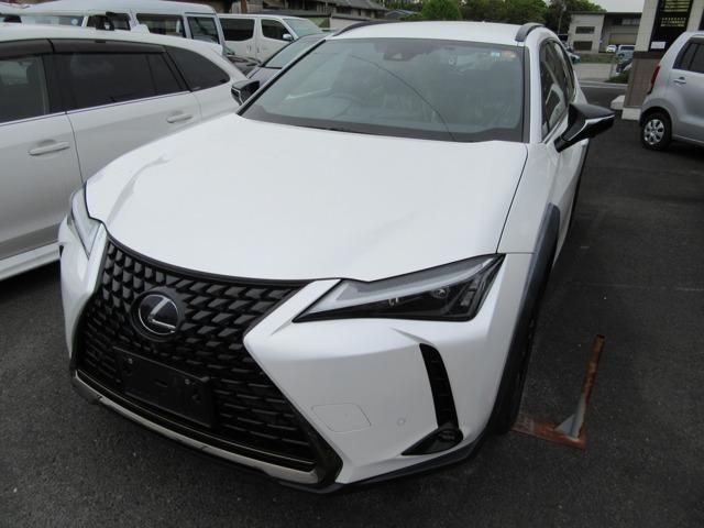 LEXUS UX250h