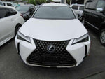 LEXUS UX250h