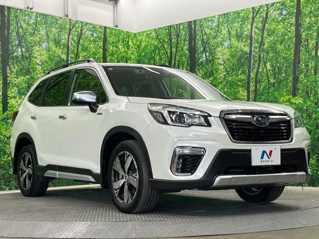 FORESTER