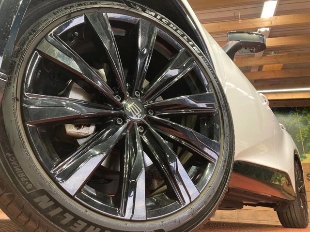 CROWN SPORT