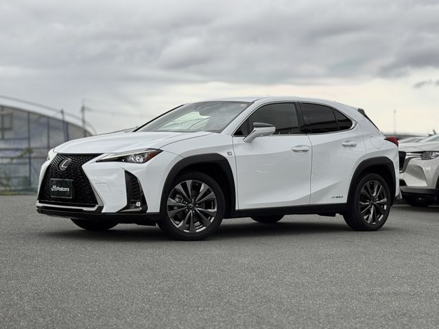 LEXUS UX250h AWD