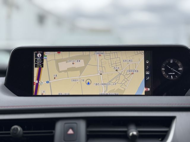 LEXUS UX250h AWD