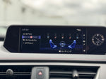 LEXUS UX250h AWD