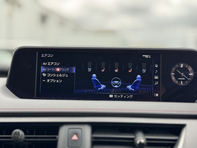 LEXUS UX250h AWD