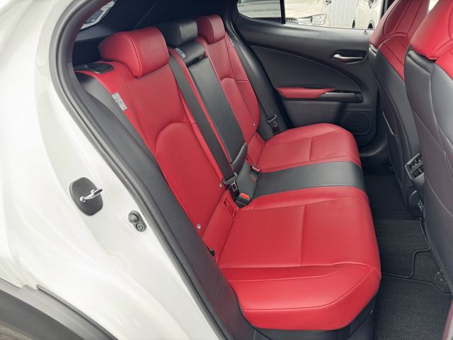LEXUS UX250h AWD