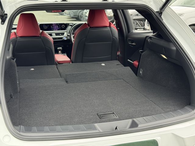 LEXUS UX250h AWD