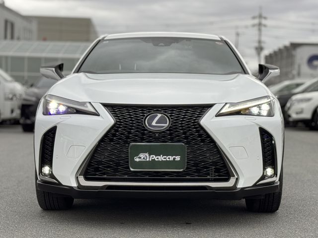 LEXUS UX250h AWD