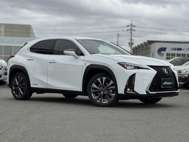 LEXUS UX250h AWD