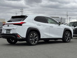 LEXUS UX250h AWD