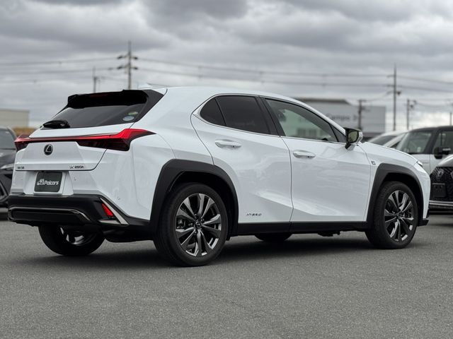 LEXUS UX250h AWD