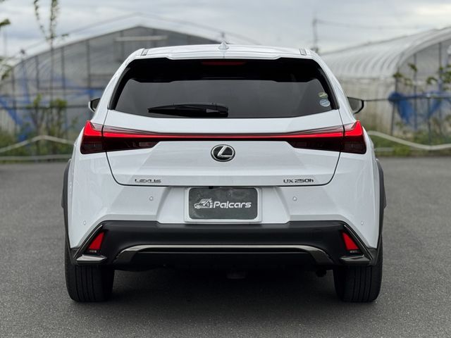LEXUS UX250h AWD