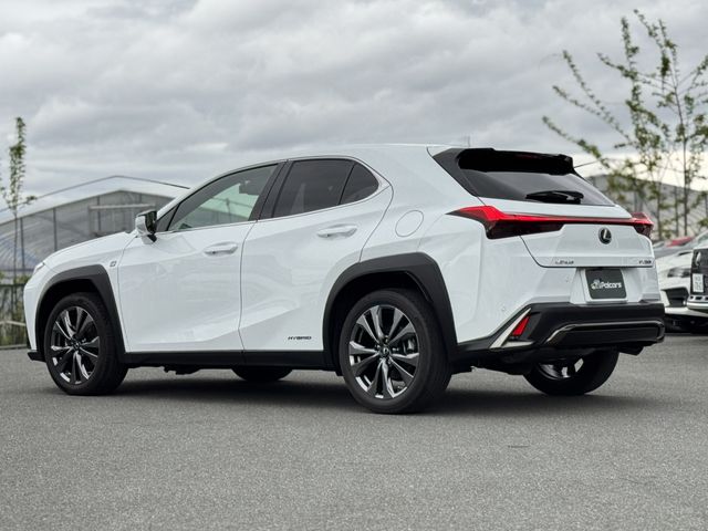 LEXUS UX250h AWD