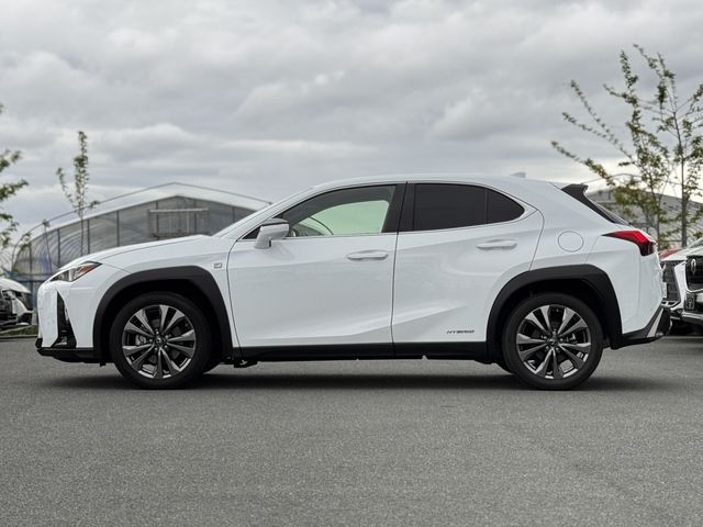 LEXUS UX250h AWD