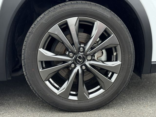 LEXUS UX250h AWD