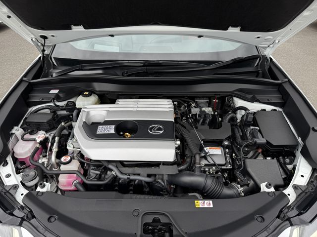 LEXUS UX250h AWD