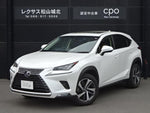 LEXUS NX300h