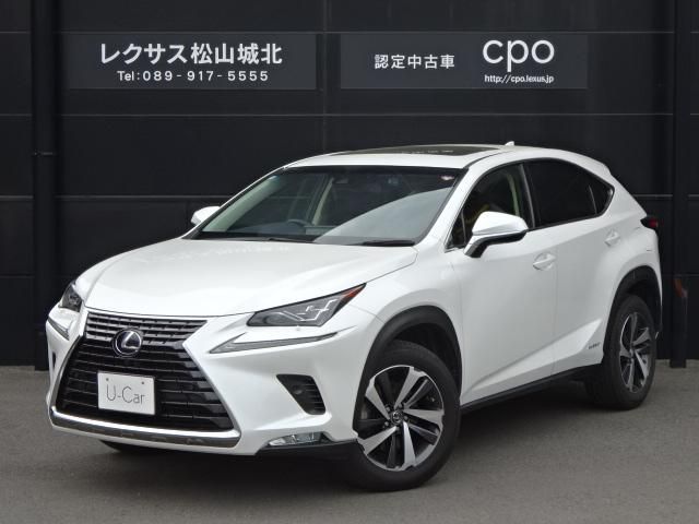 LEXUS NX300h