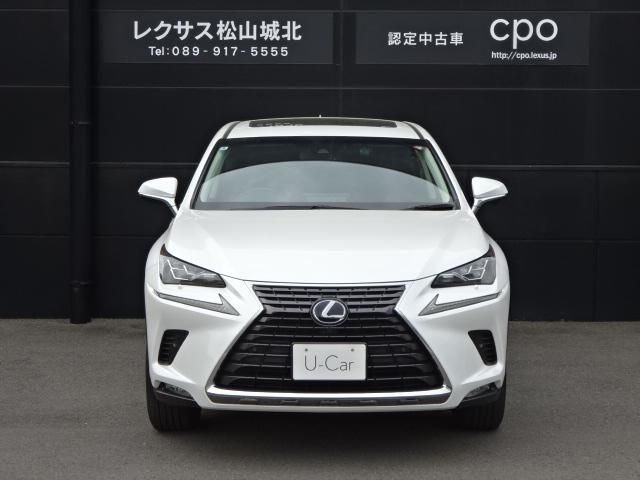 LEXUS NX300h