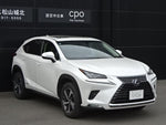 LEXUS NX300h