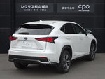 LEXUS NX300h